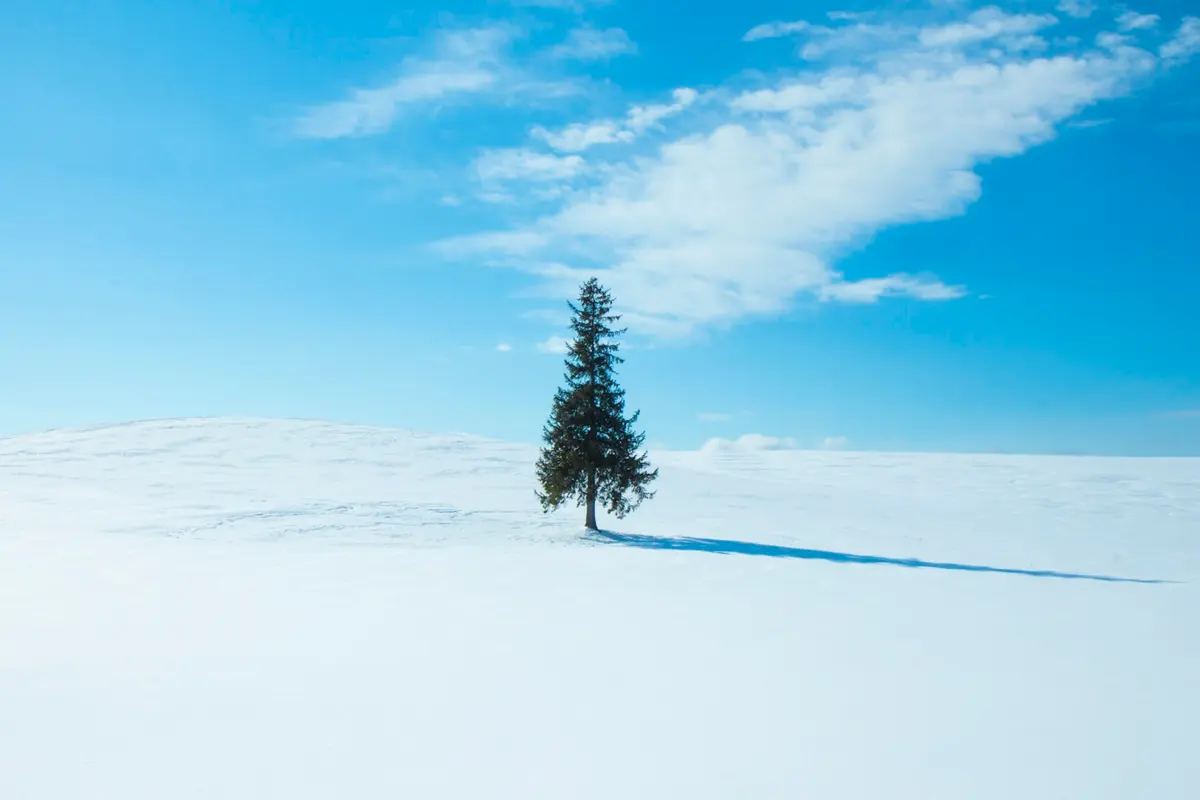 Vista de Sapporo