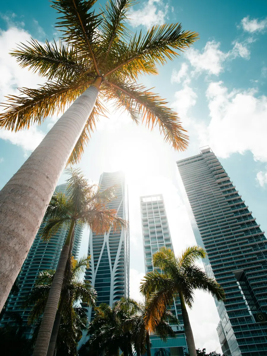 Vista de Miami