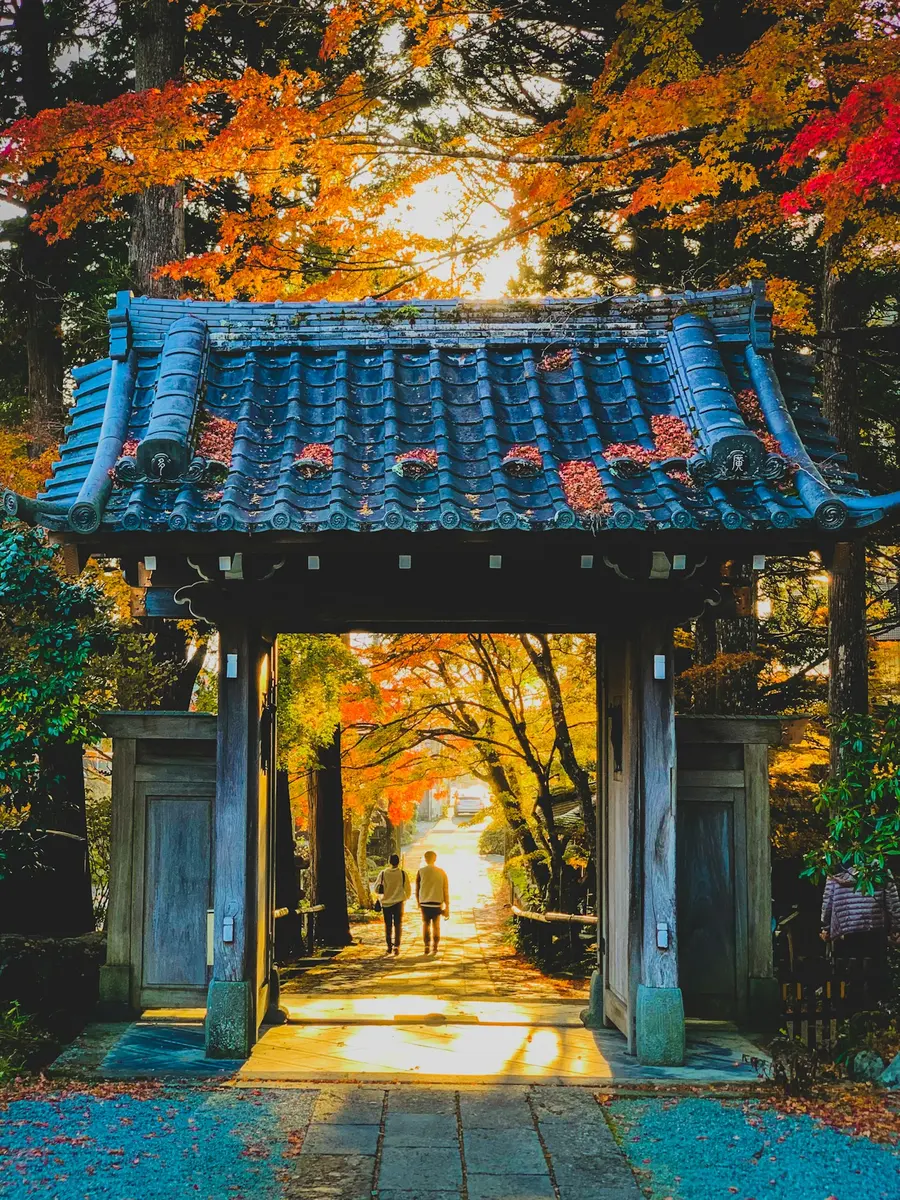 Vista de Nagoya