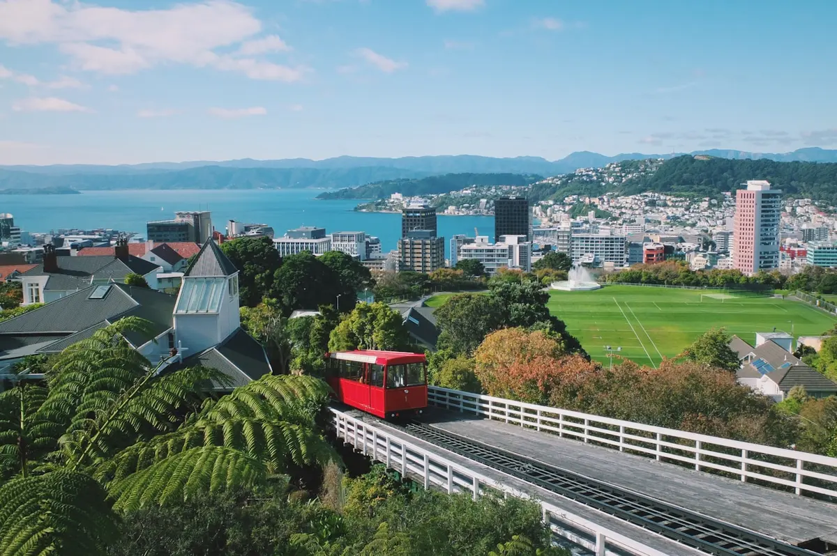 Vista de Wellington
