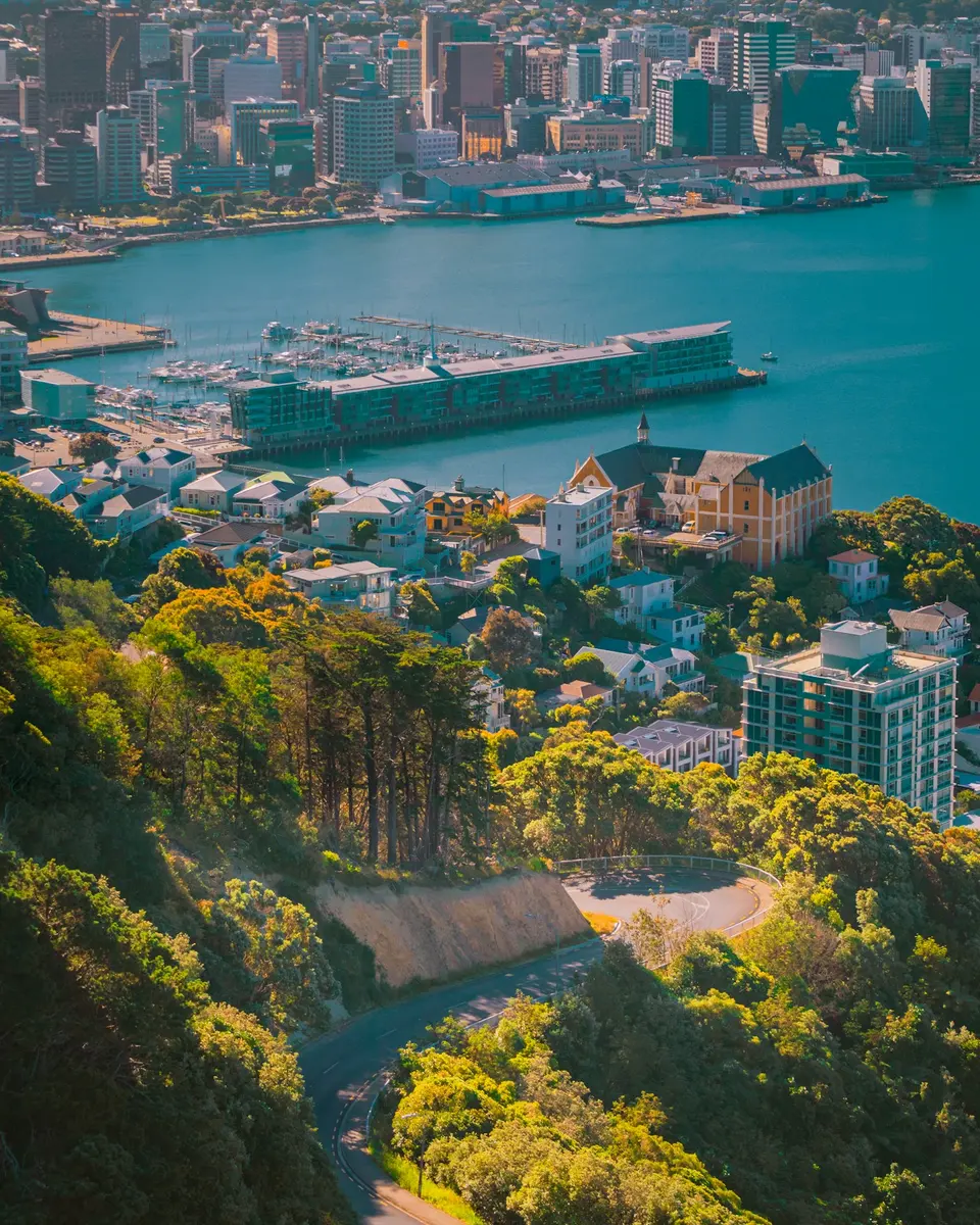 Vista de Wellington