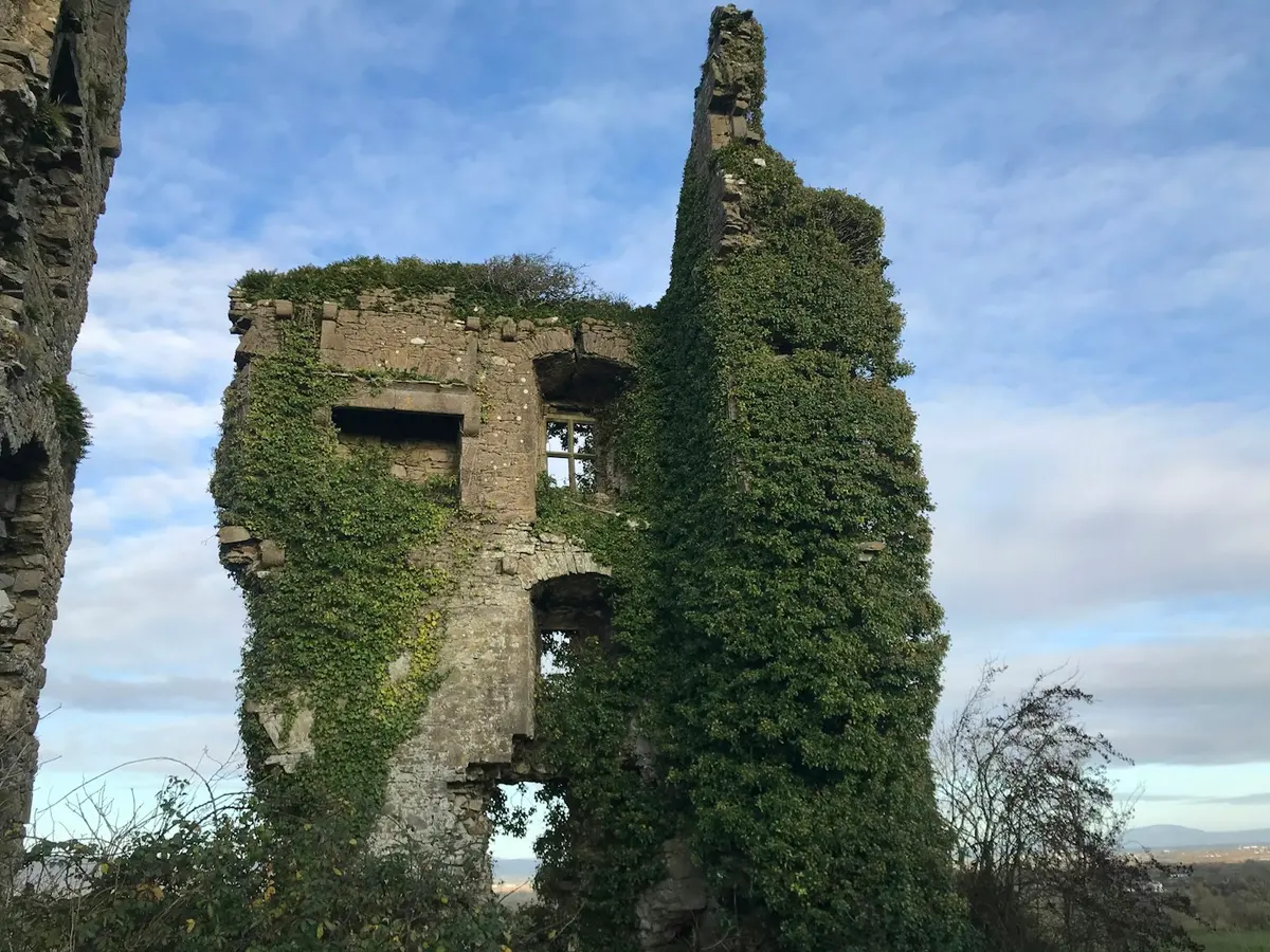 Vista de Limerick