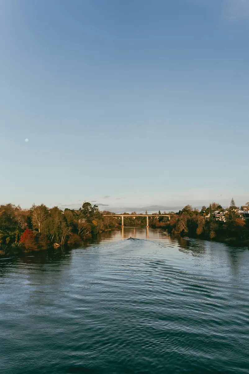 Puente sobre el río en Hamilton