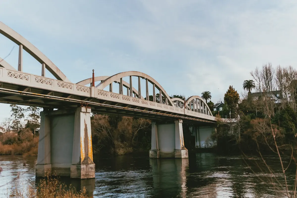 Puente emblemático de Hamilton