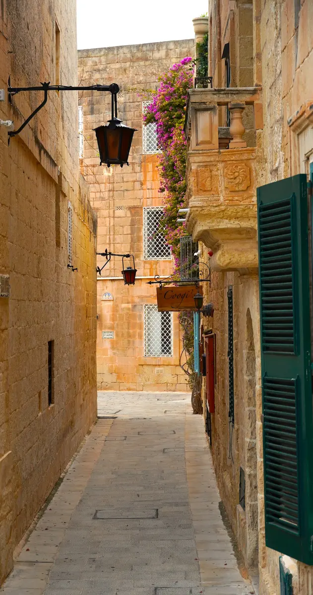 Vista de Mdina